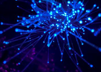 90% of Leaders Plan to Integrate AI into their Organisations in 2024