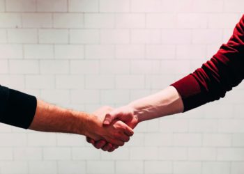 Solaris SE partners with Salt Security