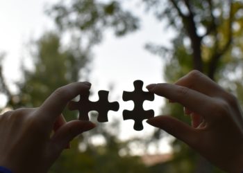 New Cato Networks MSASE Framework Gives Vendor-Like Powers to Channel Partners