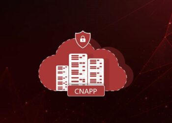 Exploring CNAPP Options for Cloud Security in 2025