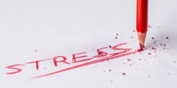 The Future of Human Risk Management: The Zensory and Brigantia Partnership A Year On