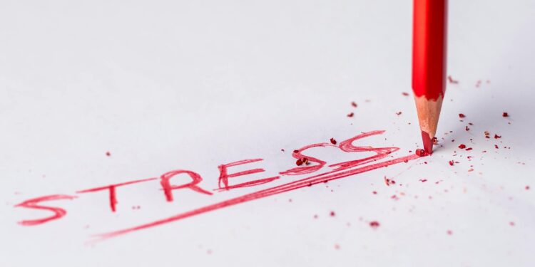 The Future of Human Risk Management: The Zensory and Brigantia Partnership A Year On