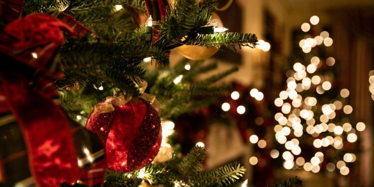 Cyber Experts Warn of Increased Consumer Scams This Festive Season